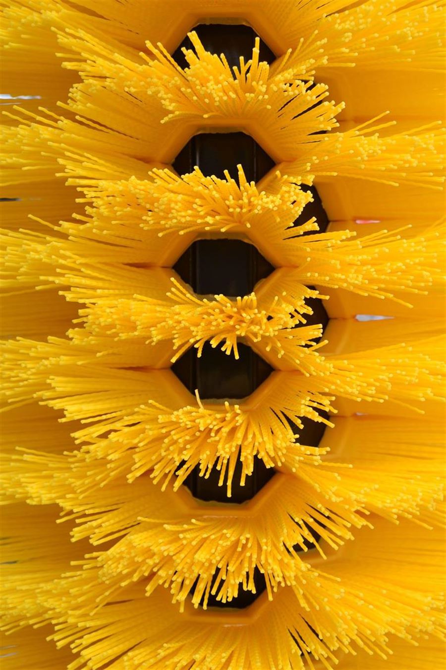 Dan Egtved har afspærringer til kvæg og kobørster